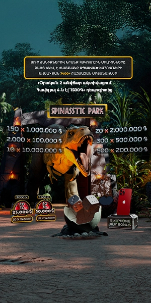 Spinasstic big promo